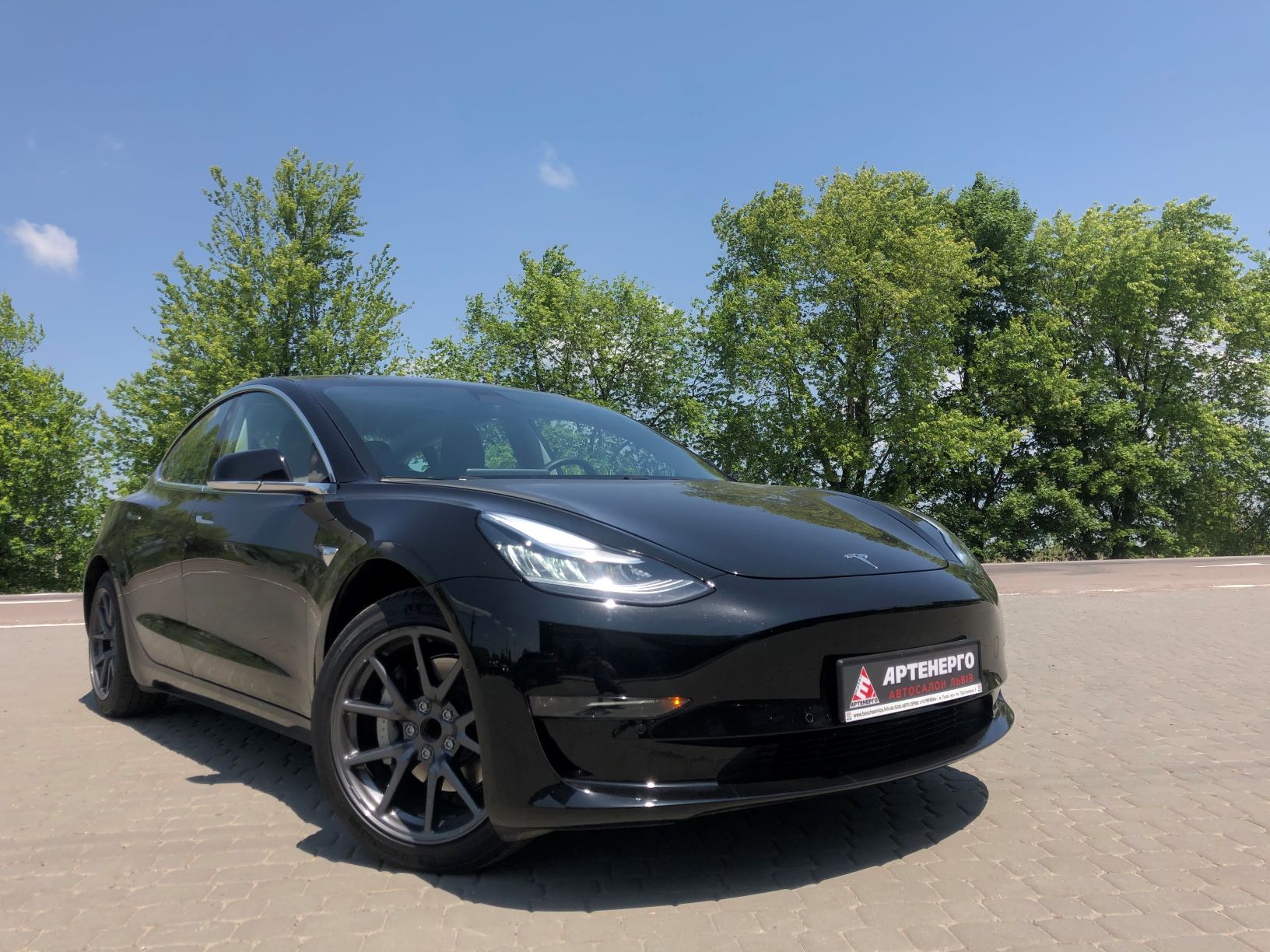 TESLA Model 3 Performance