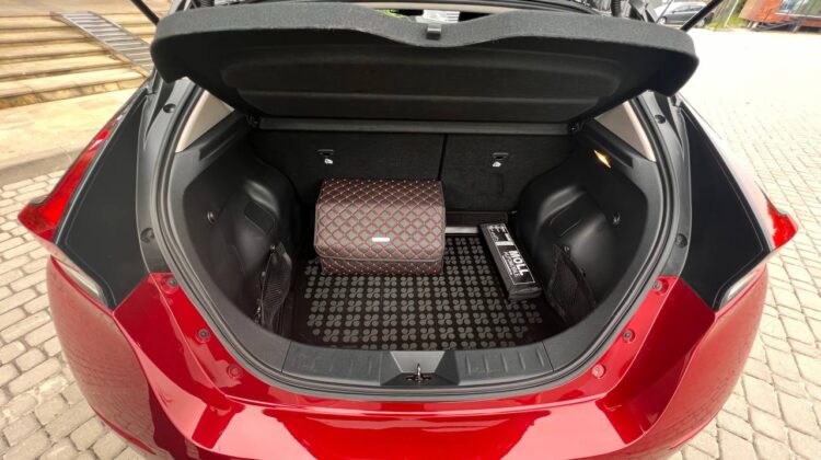 nissan-leaf-artenergo-11