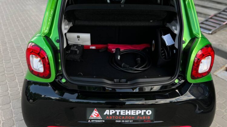 smart-forfour-artenergo-11