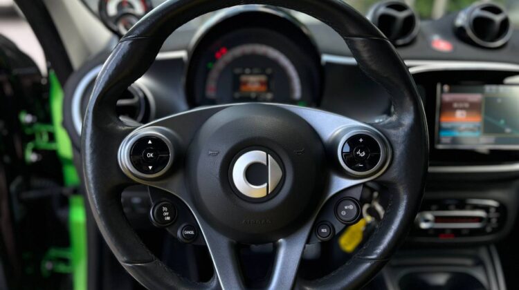 smart-forfour-artenergo-8